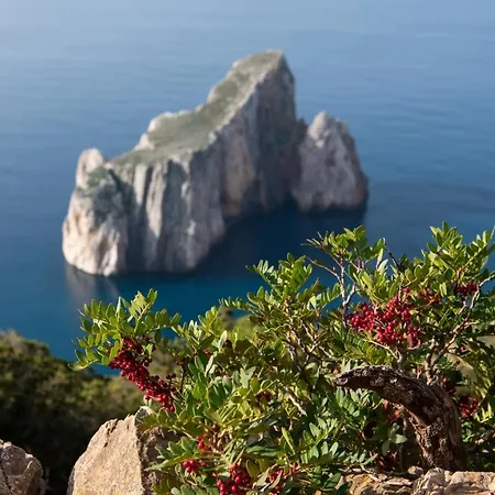 Welcomely - Cafe Del Mar * 贡内萨